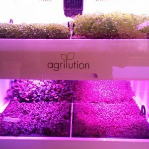 agrilution plantcube