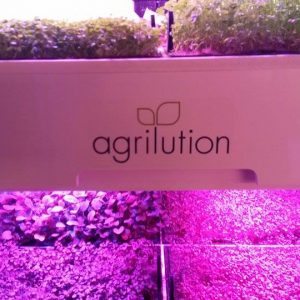 agrilution plantcube