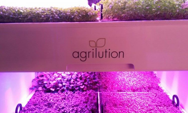 agrilution plantcube