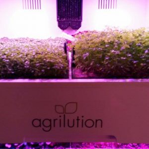 agrilution plantcube