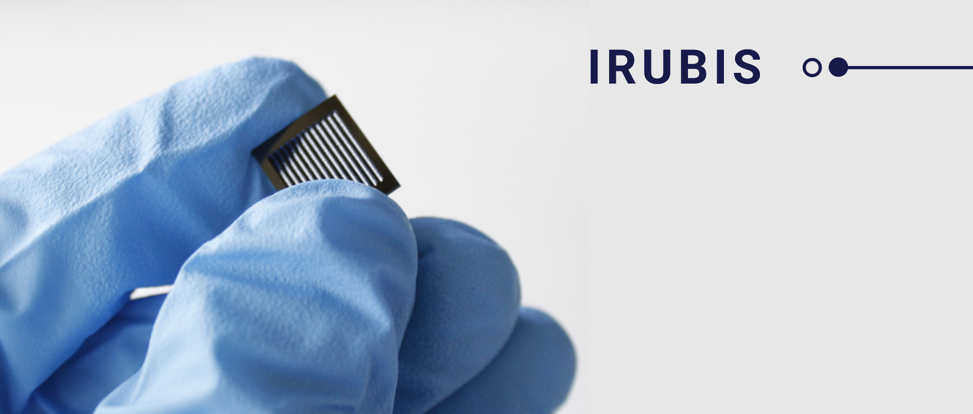 IRUBIS GmbH