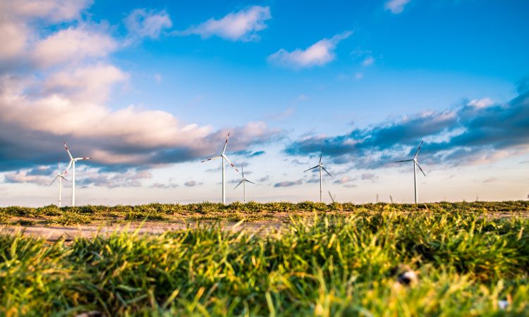 Bayerischer Energiepreis