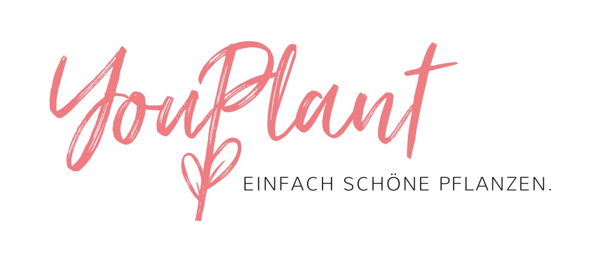 YouPlant GmbH & Co. KG