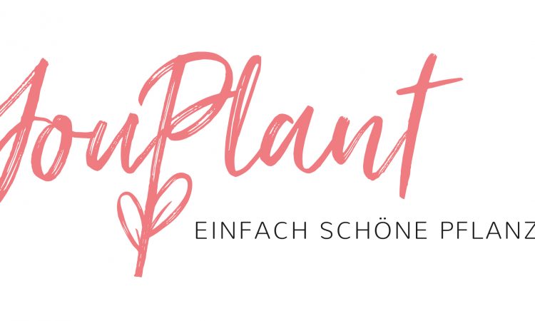 YouPlant GmbH & Co. KG