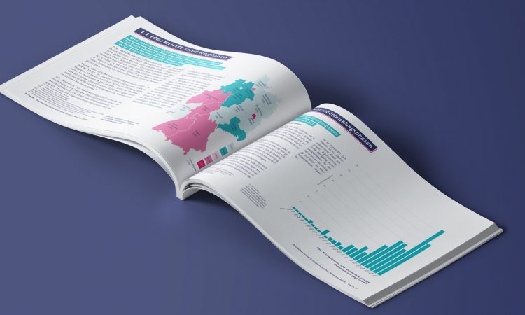 Social Entrepreneurship Monitor