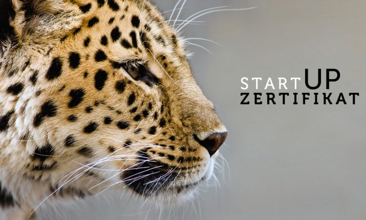 SCE Startup Zertifikat